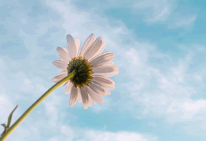 突发事件：晚上一个人看的APP成为焦点 · 特辑9510