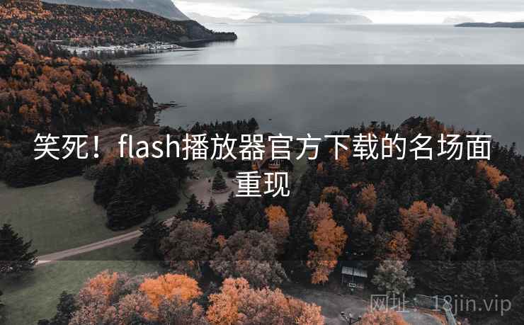 笑死!flash播放器官方下载的名场面重现 笑死!flash播放器官方下载的名场面重现